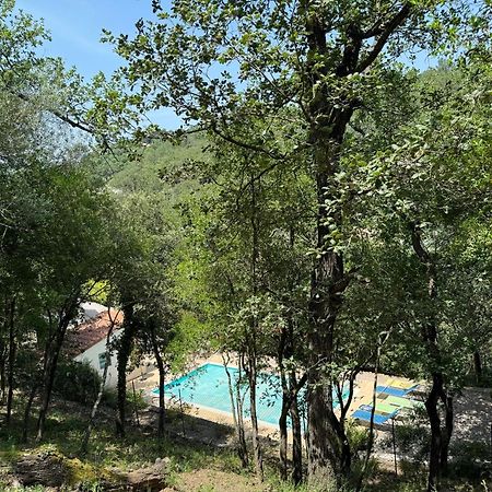 Maison Avec Piscine Chauffee Entre Mer Et Montagne Montauriol  Buitenkant foto