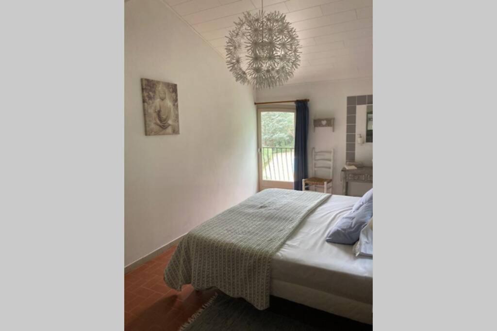 Maison Avec Piscine Chauffee Entre Mer Et Montagne Montauriol  Buitenkant foto